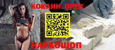 гашик Кингисепп