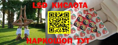 гашик Кингисепп