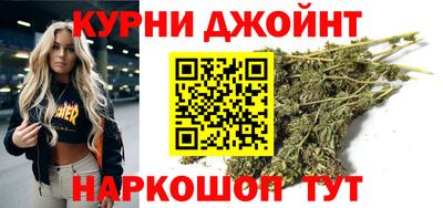 гашик Кингисепп