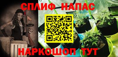 spice Кандалакша