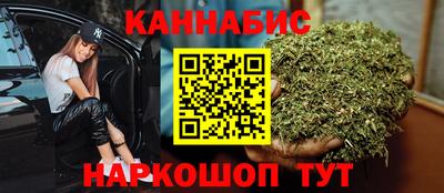 гашик Кингисепп