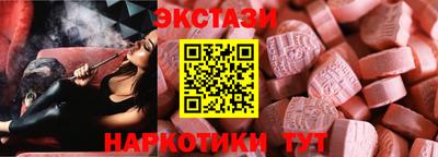 гашик Кингисепп