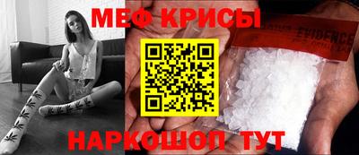 гашик Кингисепп