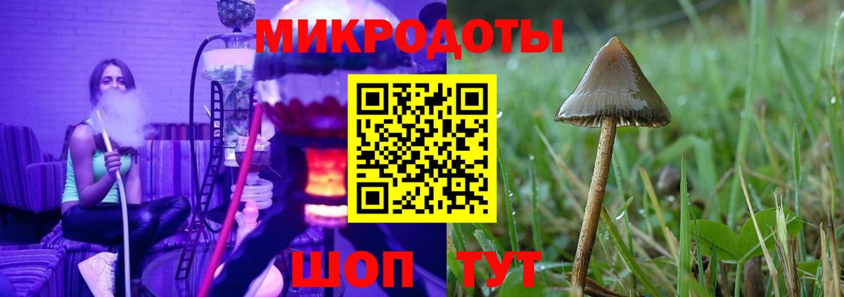Удомля  Псилоцибиновые грибы Psilocybine cubensis  Вход с VPN  Псилоцибиновые грибы Magic Shrooms 